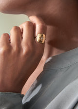 BROOKS STAR CRYSTAL RING - GOLD