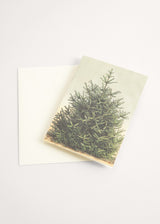 Greeting card with Christmas Tree illustration