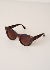 Brown tortoiseshell sunglasses on beige background
