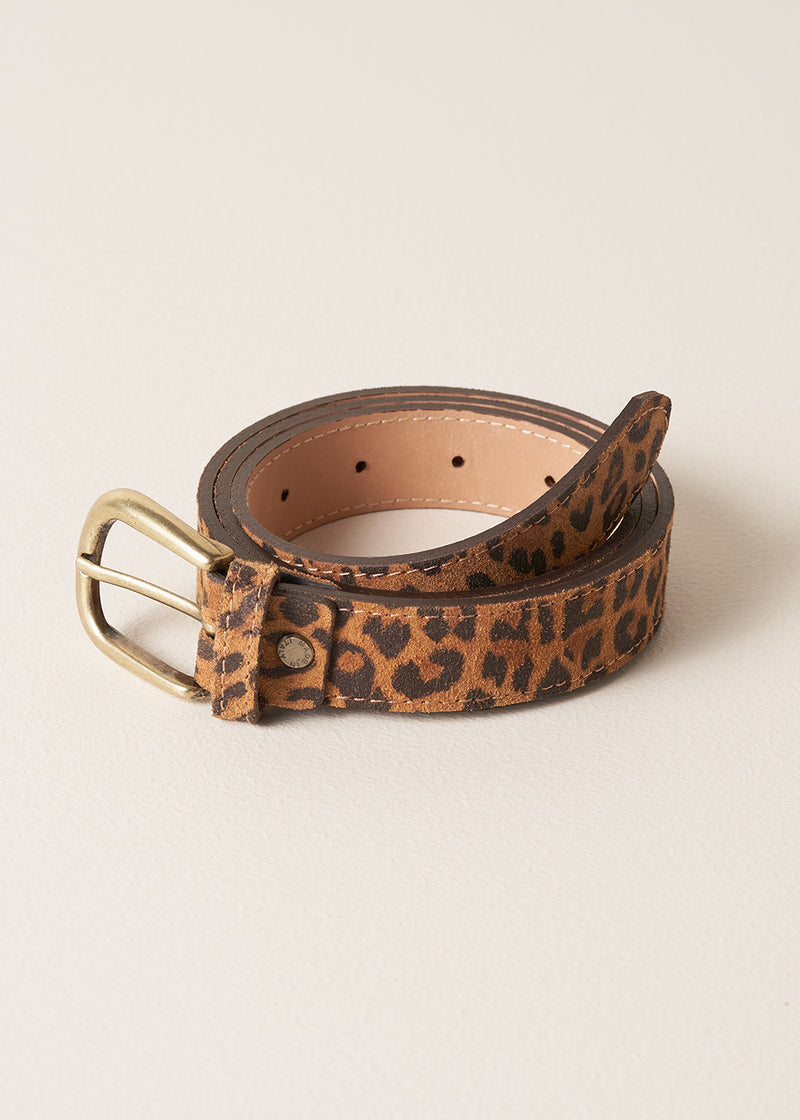 Leopard print belt with a gold buckle on a beige background