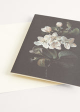 Greeting card with floral illustration
