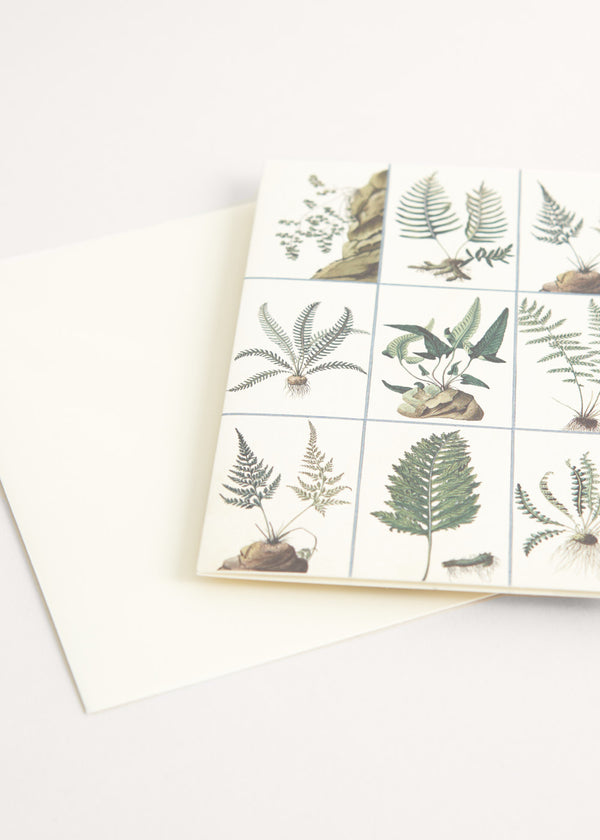 Greeting card with fern illustration