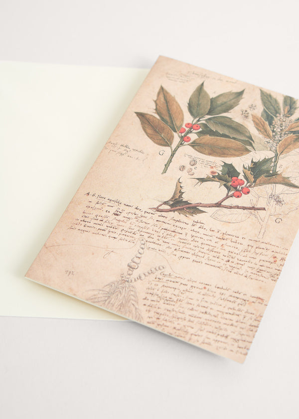 Greeting card with holly illustration