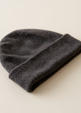 A dark charcoal gray knit beanie hat with a folded cuff, shown on a plain light beige background.