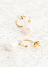 Small pearl drop earrings