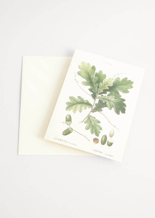 Greeting card with acorn illustration