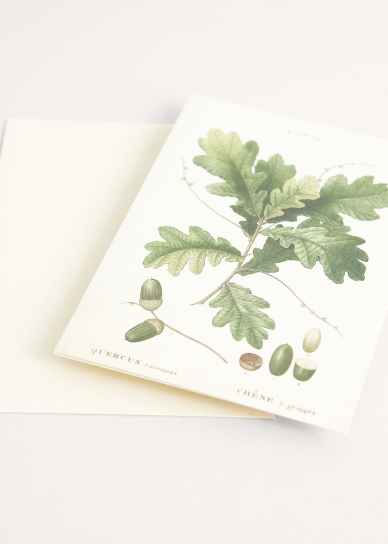 Greeting card with acorn illustration