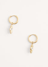 Crystal drop hoop earrings