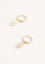 Crystal drop hoop earrings