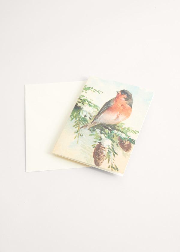 Greeting card with robin illustration