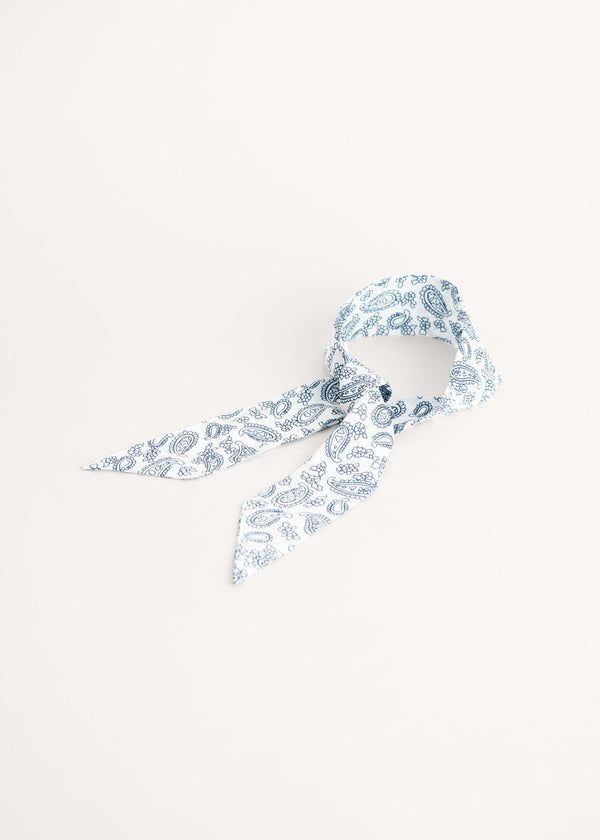 Blue and white paisley neck tie