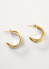 Gold double hoop earrings on white background