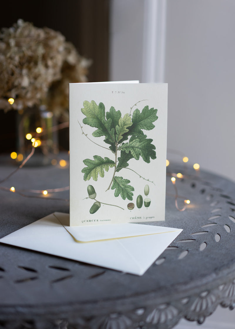 Greeting card with acorn illustration