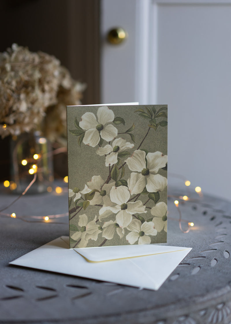 Greeting card with floral illustration